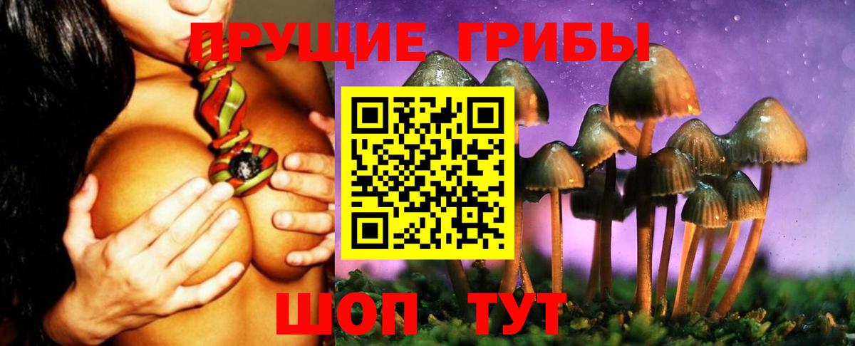 Алатырь  Псилоцибиновые грибы Psilocybe  Вход с VPN  Галлюциногенные грибы Psilocybine cubensis 